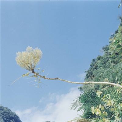 中欧体育kok入口