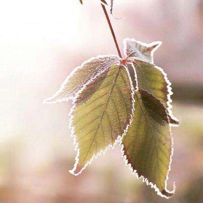 le乐鱼 体育 im体育截图